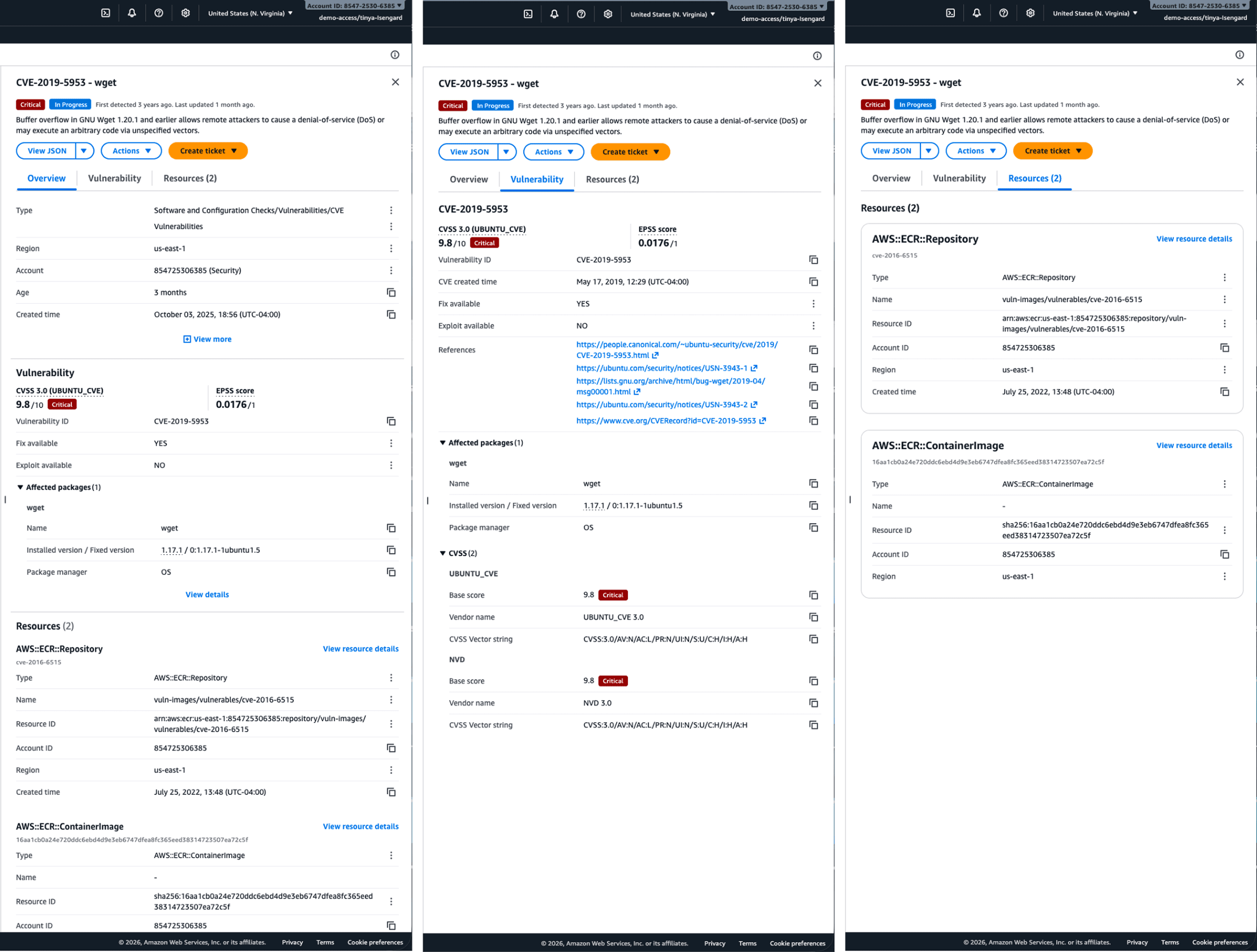 Vulnerability finding detail example